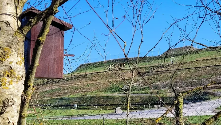 Nichoir sur le site de la SECODE